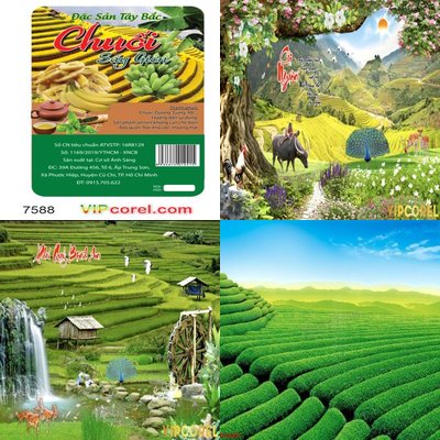 Phong cảnh ruộng bậc thang