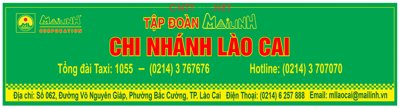 Download file Bảng biển Tập đoàn Mai Linh chi nhánh Lào Cai (chuẩn in) Bảng biển Tập đoàn Mai Linh chi nhánh Lào Cai