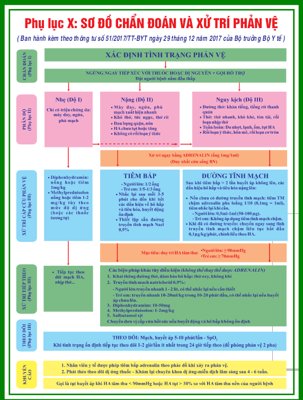 File in lụa Bảng chẩn đoán và xử trí phản vệ #2 file corel (phong cảnh) Bảng chẩn đoán và xử trí phản vệ #2 file corel