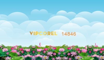 Tải file gốc Background phông nền hoa sen vector file corel (in không vỡ ảnh)