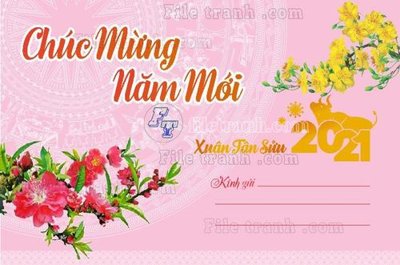 File in trần Bao thu chuc mung nam moi (4) (bản gốc) trời sao