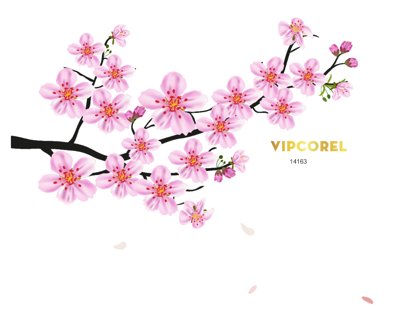 File gốc Cành đào cành mai ngày tết trang trí market file PNG (phong cách) tối giản