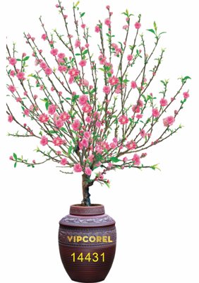 Tải file Cành đào trên mâm ngũ quả ngày tết file PNG (PSD) cho in tranh kính