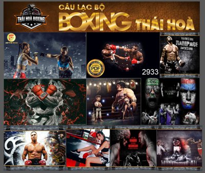 File in mica Market Câu lạc bộ boxing Thái Hòa file corel (bản gốc) sắc sảo