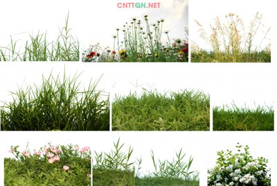 File tranh [PSD] Cây cỏ tách nền đẹp chất lượng cao (gốc) chủ đề trẻ em