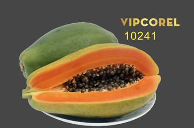 File gốc Quả Đu đủ chín ảnh tách nền PNG (in mica) làm bảng hiệu