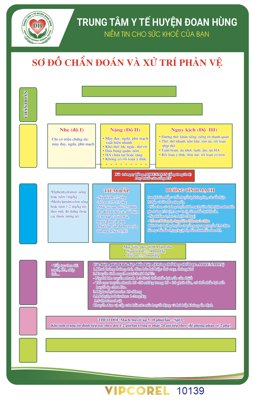 File tranh ảnh gốc Sơ đồ chẩn đoán và xử trí phản vệ file corel dùng cho in khổ lớn