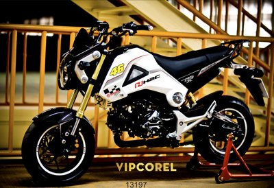 Mua file tranh gốc Tem decal xe máy Honda MSX 125 vector corel tại Filetranh.com