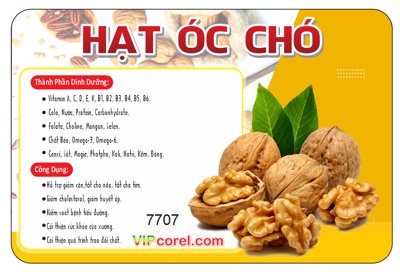 File tranh trang trí Tem nhãn mác dán sản phẩm Hạt Óc Chó file vector (file gốc)