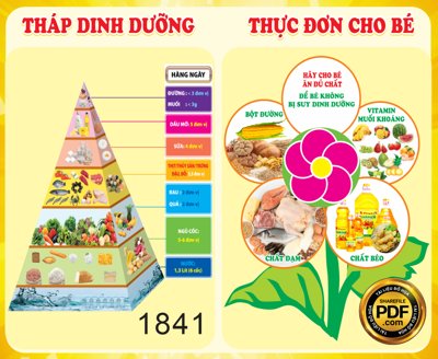 File gốc Tháp dinh dưỡng và thực đơn cho bé #4 file CDR x7 (in tráng gương) sang trọng