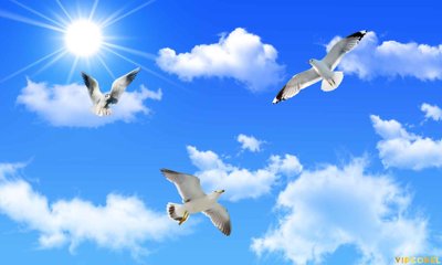 File in trần Tranh 3D Trần Xuyên Sáng chất lượng cao #27 (bản gốc) hoa văn