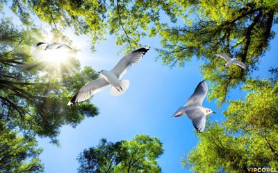 Tải file tranh gốc Tranh 3D Trần Xuyên Sáng chất lượng cao #32 chất lượng cao