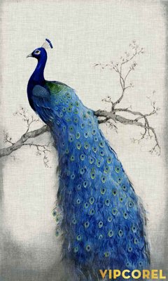 File in trần Tranh 3D Trần Xuyên Sáng chất lượng cao #44 (bản gốc) hoa văn