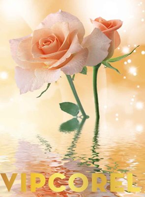 File gốc Tranh 3D Trần Xuyên Sáng chất lượng cao #81 (thiết kế) độc quyền