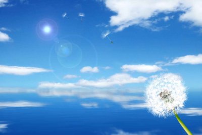 File tranh gốc Tranh 3D hoa bồ công anh và ánh nắng mặt trời #20 (bản quyền) độc đáo