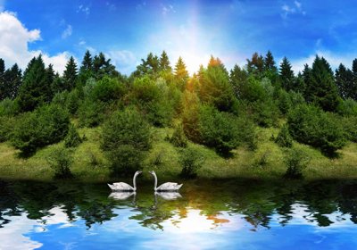 File in ấn Tranh 3D phong cảnh đôi thiên nga đang bơi #38 (bản gốc) cao cấp