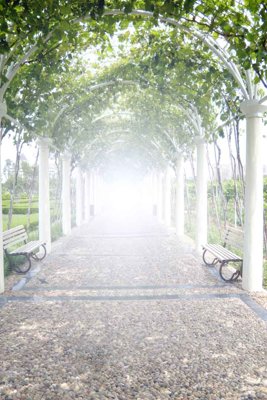 Tải file gốc in lụa Tranh dán tường 3D Châu Âu sang trọng #135 siêu nét