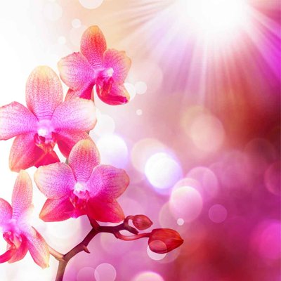 Download file ảnh gốc Tranh dán tường 3D hoa nghệ thuật hiện đại #115 để in ấn