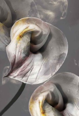 File in ấn Tranh dán tường 3D hoa nghệ thuật hiện đại #21 (bản gốc) sắc nét