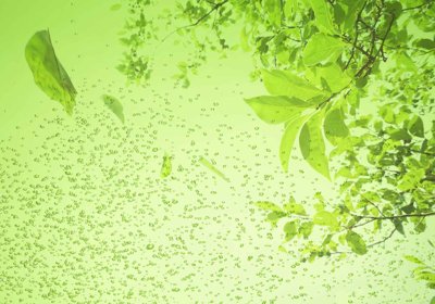 Download file Tranh dán tường 3D hoa nghệ thuật hiện đại #76 (chuẩn in) Tranh dán tường 3D hoa nghệ thuật hiện đại #76