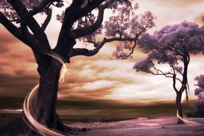 File ảnh Tranh dán tường 3D phong cảnh hữu tình #49 (gốc) in backdrop sự kiện