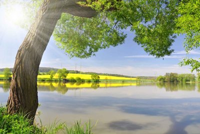 Tệp tin gốc Tranh dán tường 3D phong cảnh hữu tình #88 (dùng cho in ấn) chuyên nghiệp