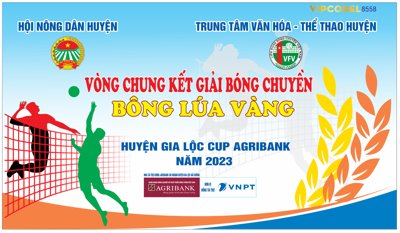 File in trần Vòng chung kết giải bóng chuyền bông lúa vàng file corel (file gốc) xuyên sáng