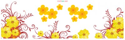 Tải file gốc Vector bông mai vàng file tài liệu CorelDRAW (in khổ lớn) không mờ