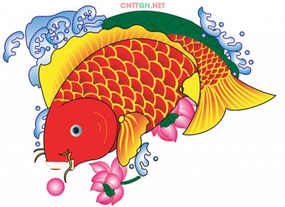 File gốc Vector cá chép file thiết kế CorelDRAW (cho in ấn) độc quyền