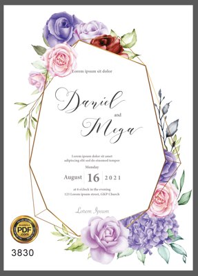 File tranh Vector wedding Invitation #65 file PDF (ảnh gốc) in trần xuyên sáng