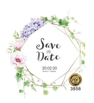 Download file ảnh gốc Vector wedding Invitation #93 file PDF để in ấn