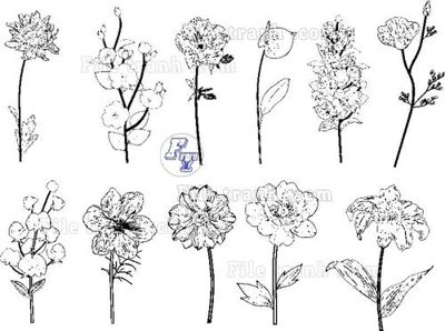 File tranh gốc Vetores (1112) (bản quyền) Filetranh.com