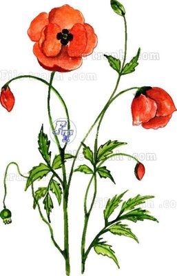 File tranh in trần 3D Vetores (501) (ảnh gốc)