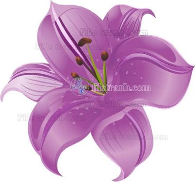 File in trần Vetores (510) (bản gốc) hoa văn