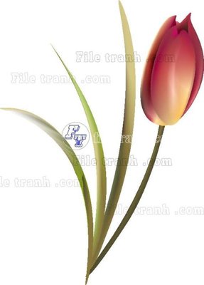 Hình ảnh file gốc in trần nhà Vetores (551)