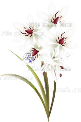 File gốc Vetores (553) (in lụa) tranh mã đáo