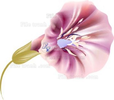 Mua file gốc Vetores (559)_1 (in ấn) tại Filetranh.com