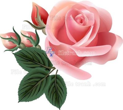 File tranh in mica Vetores (565) (độ phân giải cao)