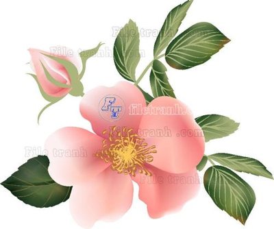 Tải file gốc Vetores (571) (in khổ lớn) không vỡ