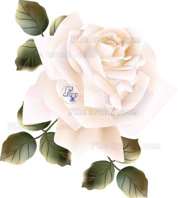 File tranh Vetores (572) (ảnh gốc) in trần xuyên sáng