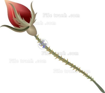 File gốc Vetores (573) (in tráng gương) sang trọng