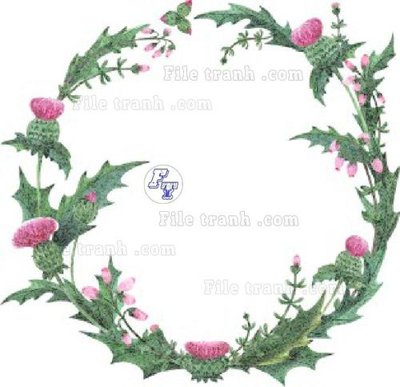 Mua file gốc Vetores (676)_1 (PSD) tại Filetranh.com