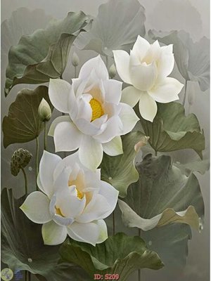 Tải file Tranh cửu ngư quần hội sen cá S209 (gốc) in trên mọi chất liệu