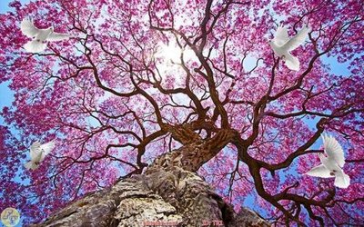 File tranh File psd trần 3d TR1 (gốc) in film