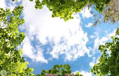 File PSD in ấn File psd trần 3d TR103 (chất lượng cao)