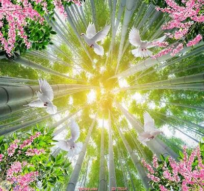 File in ấn File psd trần 3d TR114 (bản gốc) từ file gốc