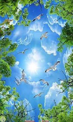 File gốc File psd trần 3d TR30 (dành cho trang trí nội thất)