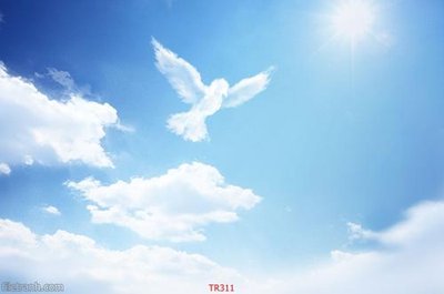 Hình ảnh file gốc in lụa File psd trần 3d TR311