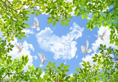 File gốc File psd trần 3d TR319 (in tráng gương) hiện đại