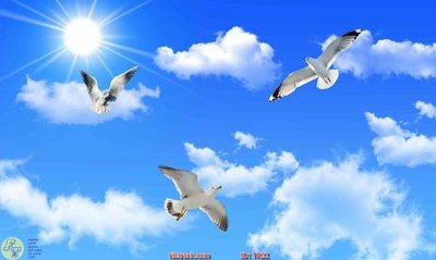 File gốc File psd trần 3d TR32 cho in ấn và thiết kế